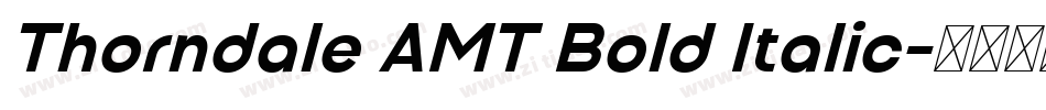 Thorndale AMT Bold Italic字体转换